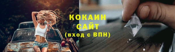 mdpv Бородино