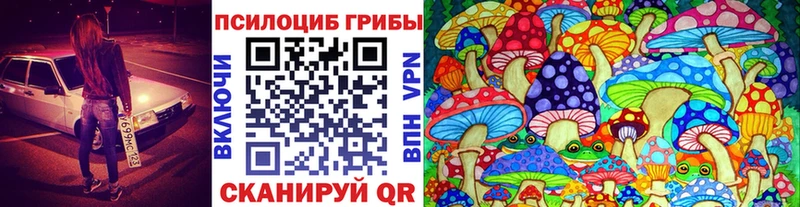 дарк нет какой сайт  Мостовской  Псилоцибиновые грибы MAGIC MUSHROOMS  hydra tor 